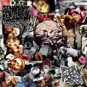 Decimated Carcasses Pulverized into Muck