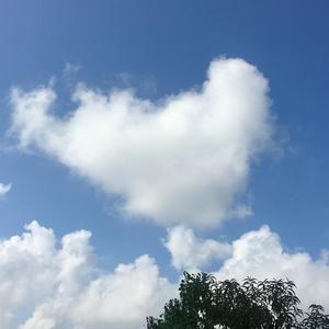 如果能再见一面