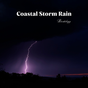 Backyard Trees in Storm