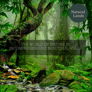 Appaling Natural Silence