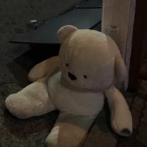 你要结婚了（Always Online版）