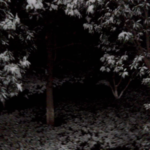 后来我（beat：lF WE FlGHT）