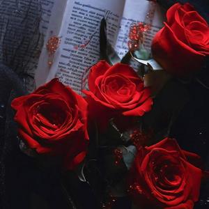 多想在平庸的生活拥抱你（专业版）_北极星小姐姐