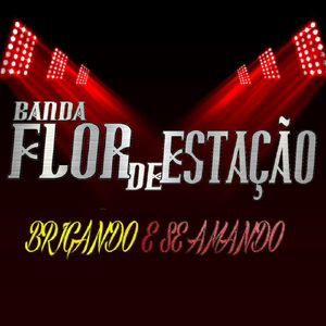 Brigando e Se Amando