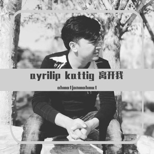 ayrilip kattig/离开我