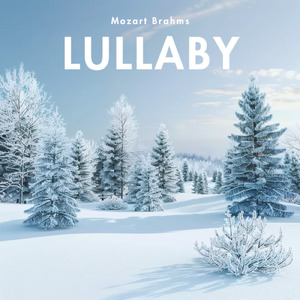 優しいナッツと安らぎピアノ