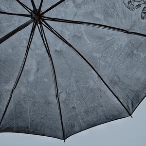 never be a sugar dog