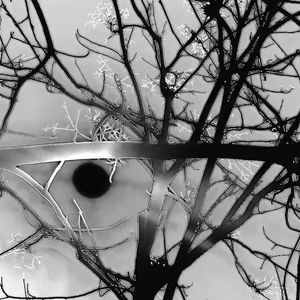 无法接受这份轻量(prod.pawl4k)