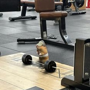 Fear Factor Intro (sped up)