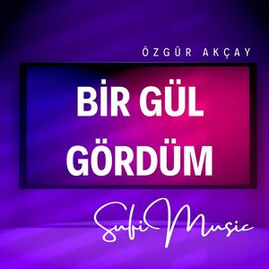 Bir Gül Gördüm