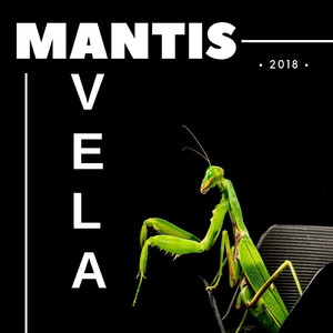Mantis