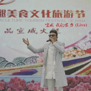 宣威 我的家乡 (Live)