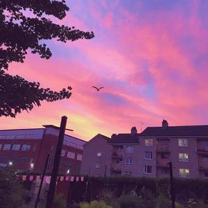 Way Back Home（女声版）（翻自 숀）