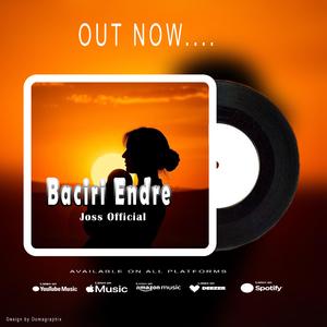 Baciri Endre
