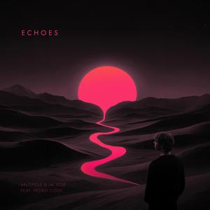 Echoes (feat. Pedro Code)