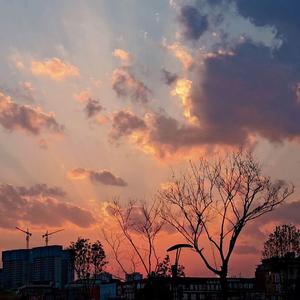 夏天的风（翻自 温岚）