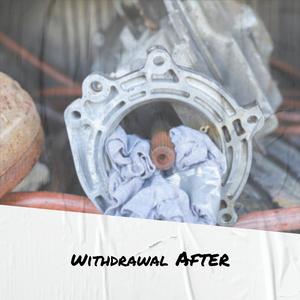 Internationally Talent