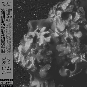 Opioid Addiction (feat. SwagLord)