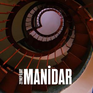Manidar