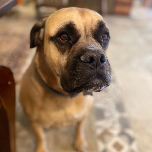 THE (2009 Redux Single)