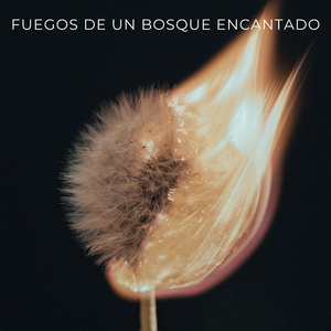 El Gran Viejo Árbol