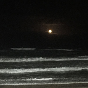 ¡Quisiera Volverte a Ver!