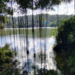 35.玩偶抱枕（完）.wav