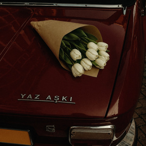 Yaz Aşkı
