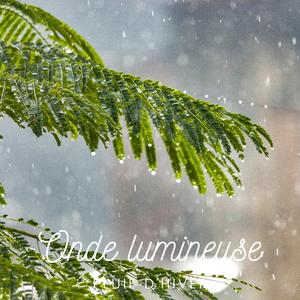 Murmures Douillets sous la Neige