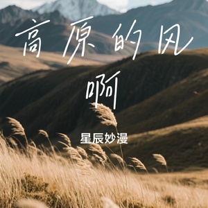 高原的风啊