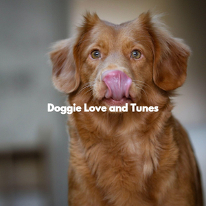 Jazz Organ Soundtrack for Family Puppy