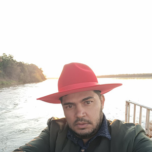 Vou caminhar sozinho