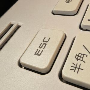 どうでもいい日