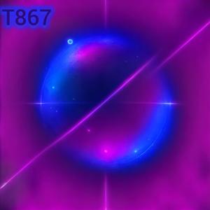 T867