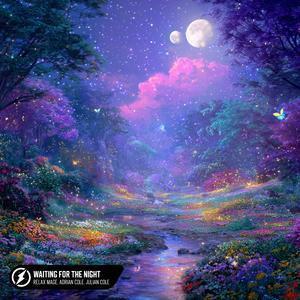 Waiting For The Night