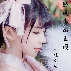 猪宝宝-爱过了也伤过了