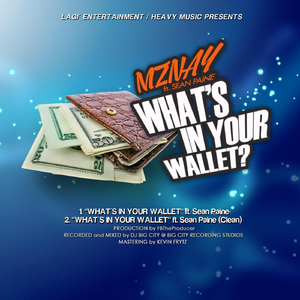 What's in Your Wallet? (Radio Edit) [feat. Sean Paine]