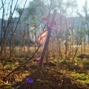 宠坏（翻自 李俊佑）