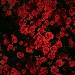 当你的离开是永久冷战