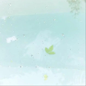 是首00后的歌