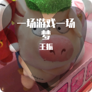 王杰-一场游戏一场游戏（王振 remix）