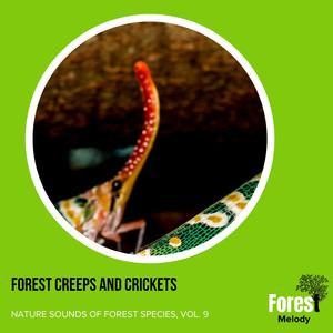 Engorged Insects
