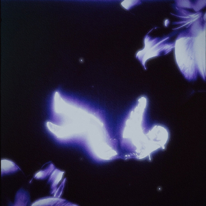 Montagem Madrugada (Slowed Version)