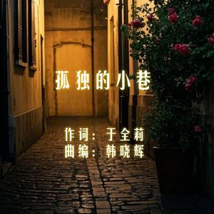 孤独的小巷（于全莉）