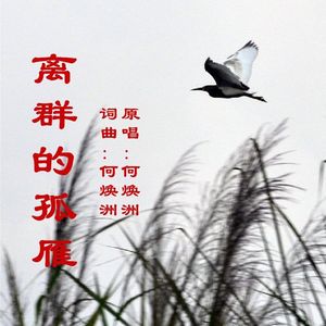 离群的孤雁(何焕洲原唱)