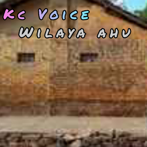 Wilaya ahu