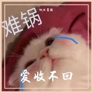 爱收不回