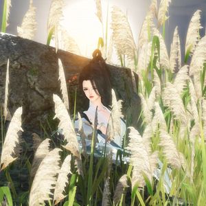 雁回（《山河寂》主题曲）