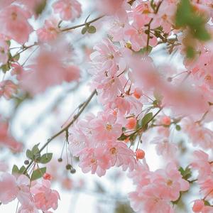 每天给大脑放个假