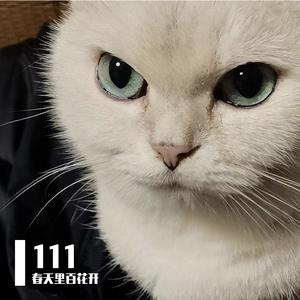 我看过_春天里百花开